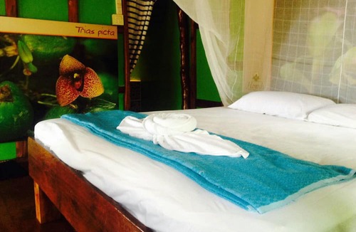 Nuea Khlong Hotel | Freeda Resort Koh Jum