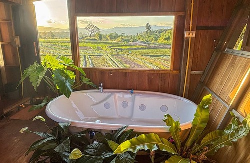 Chiang Klang Other | Deetorjai FarmStay Nan