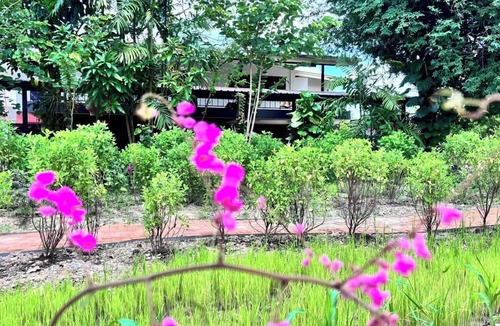 Mae Rim House | Retro at Mae Rim