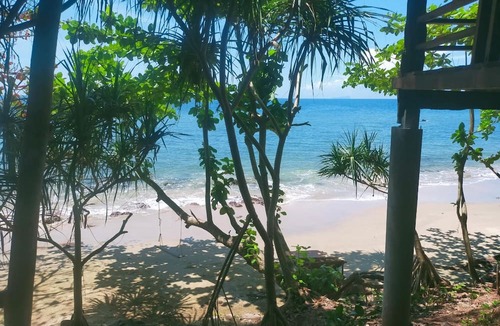 Nuea Khlong Hotel | Jungle Hill Beach Bungalow