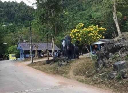 Ban Wang Hom Hotel | ปิดรับจอง อย่าจอง ถาวร
