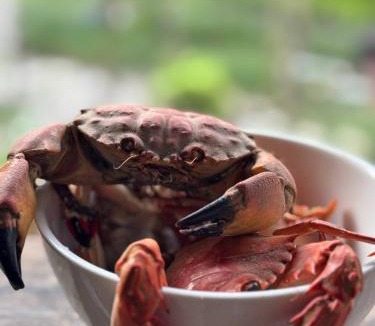 Prey Nob Resort | Kalao Guesthouse & ArtZone