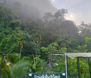 Kong Ra Apartment | บ้านเล็กในป่าใหญ่ พัทลุง