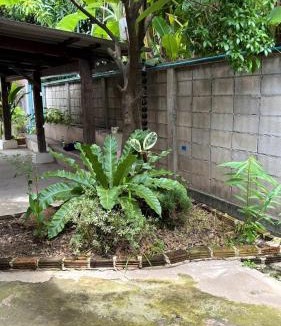 Mae Hia Apartment | Lanna Thai Style wooden Cozy House Big Garden