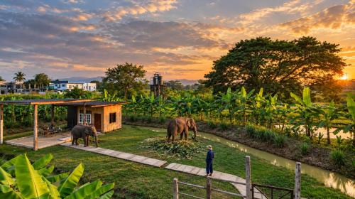 San Pu Loei Villa | Pang Dee Dee Elephant Villa