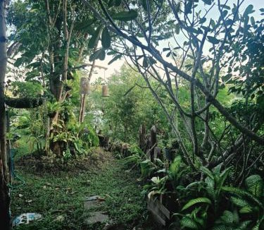 Hang Dong Villa | Tropical Lanna - Wellness Sanctuary In Chaing Mai