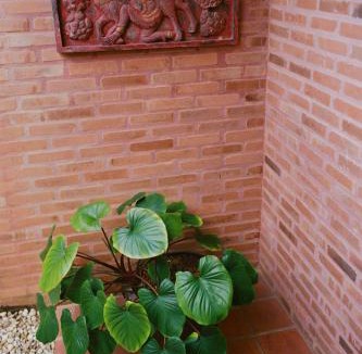 Choeng Doi House | Villa Du Lac Homestay