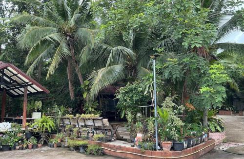 Prakhon Chai House | Tree and coffee resort V14