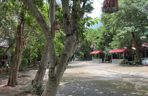 Prakhon Chai House | Tree and coffee resort V13
