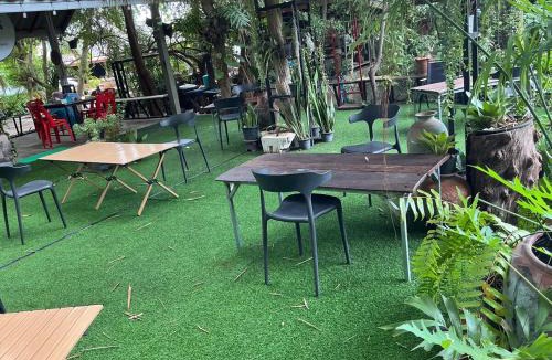 Prakhon Chai House | Tree and coffee resort V7