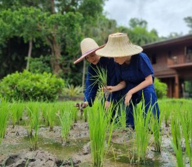 Mae Kon Resort | Tatvani by Pa Sak Tong Estate