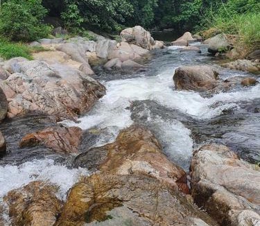 Ron Phibun Resort | Baanmon Camping บ้านม่อนแค้มปิ้ง ร่อนพิบูลย์ นครศรีธรรมราช
