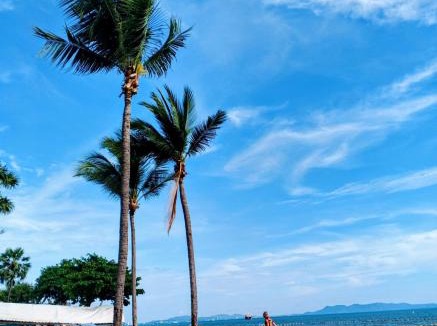 South Pattaya Hotel | Palmira Beach Jomtien