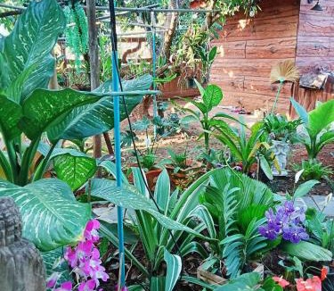 Chiang Dao Villa | PJ Garden Home - Bungalow