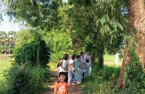Puok House | Phonluer Angkor Homestay SiemReap - Local Vibe