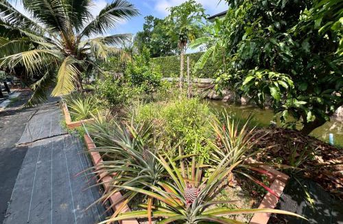 Phra Pradaeng House | Doungploy BaanruenThai Homestay