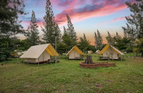 Traeng Trayueng Resort | Phum Domnak Domrey Resort
