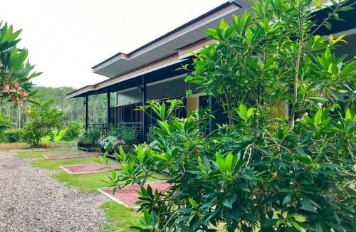 Khuan Khanun House | ใสโพธิ์โฮมสเตย์
