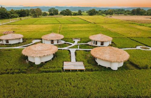 Wiang Pa Pao Hotel | Na Bua Villa Chiangrai