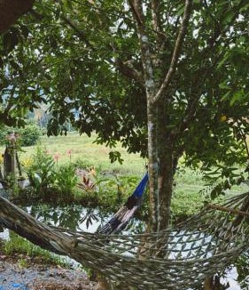 Satun House | Cana Garden House 2
