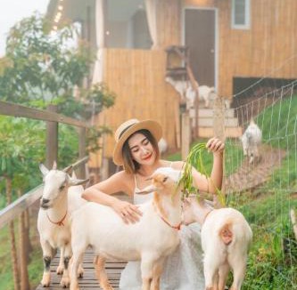 Mae Rim Cabin | Kirin Farm