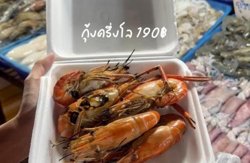 Koh Lan Villa | Gn story love บ้านเกาะล้าน 小珊瑚岛班泳池别墅