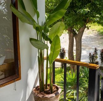 Baan Tai Resort | BOHO Boutique Bungalows
