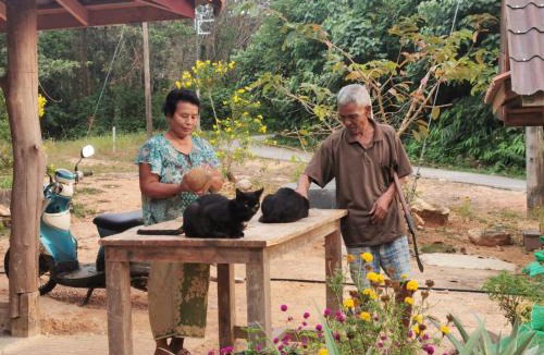 Ranong Resort | Relax House