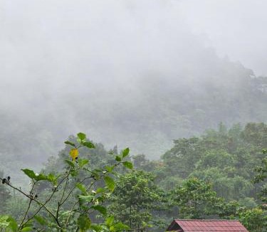 Bo Kluea Resort | PANAKLUEA Cottage & Crafts - พนาเกลือ