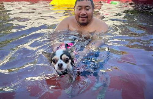 Hua Hin Villa | Little3 Hua-Hin Private poolvilla from beach 3km , dog can enjoy swimming pool