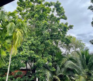 San Pa Thong House | Tai Resort