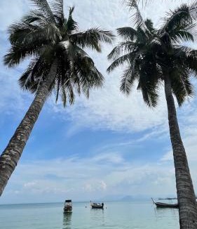 Ko Mook House | Kohmook Seaview Resort