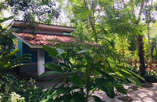 Ban Wang Hom House | Baansuan Suksangob Farm Stay