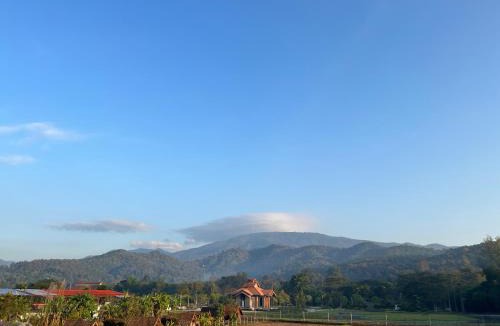 Ban Pong House | Ponginrakfarmstay ปงอินรักษ์ฟาร์มสเตย์