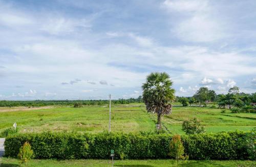 Nakhon Si Thammarat Hotel | B3 Hotel