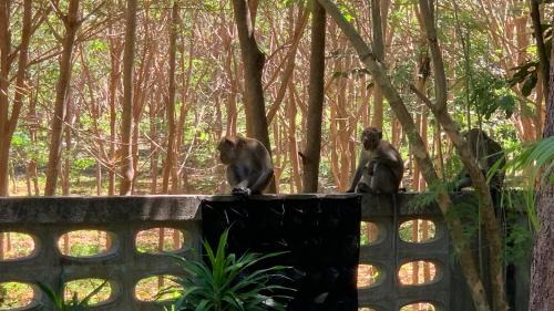 Nuea Khlong House | VillaVarin Ko Jum - Nature, Space & Luxury