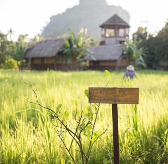 Khlong Sok Resort | Our Jungle Camp