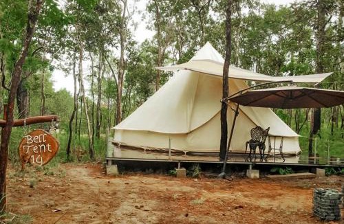 Traeng Trayueng Resort | vKirirom Pine Resort
