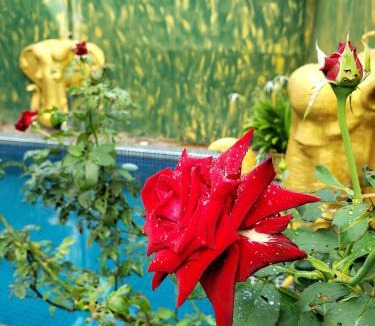 Siem Reap Hotel | Parent Heritage Angkor Villa