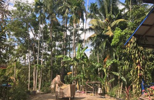 Sout Nikom House | Chansor Homestay 16 By Siem Reap Homesteading