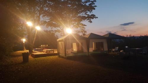 Wang Mi Other | Plantation View Camping