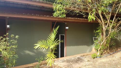 Wang Mi Other | Plantation View Camping