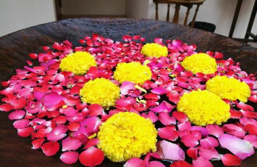 Bangkok Bed & Breakfast | Pimthong Place