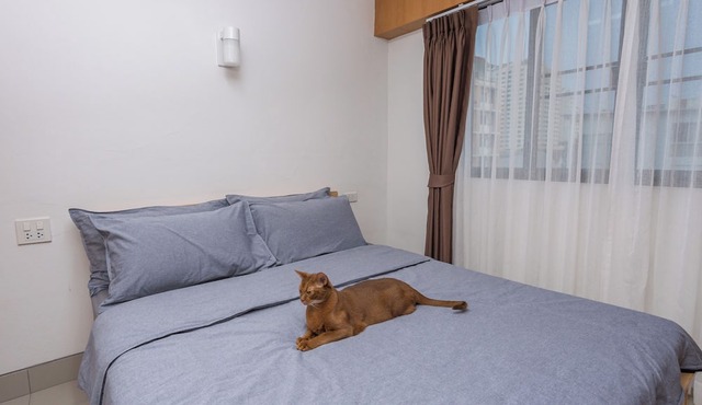 Homies Ratchada Hotel in Bangkok