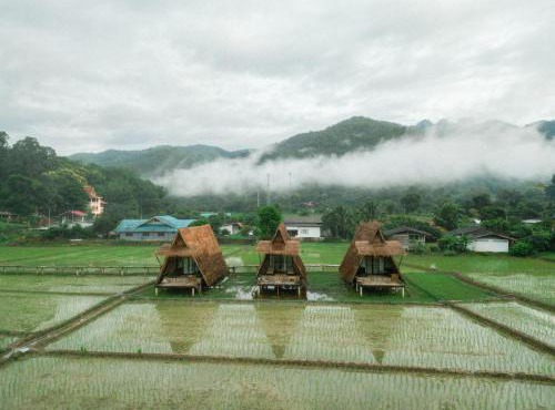 Khao Kiang Na เขา เคียง นา in Ban Muang Kut