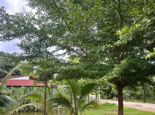 Ao Luek Hideaway in Ao Luk