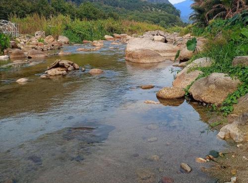 Baansuan Patooy Camping in Surat Thani