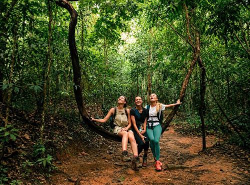 Sunny Jungle Waterfall Retreat in Ban Mae Sapok Nua