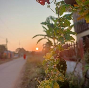 Six Nature Resort in Chiang Rai