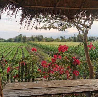 Wichouda Cottage - Self Check-in in Chiang Dao